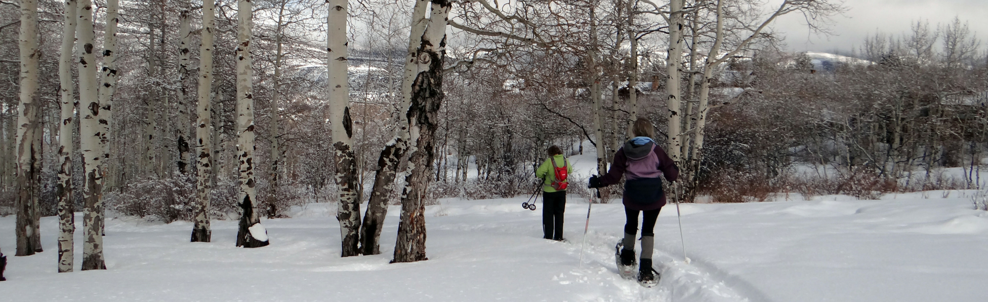 Top 10 Snowshoeing Spots